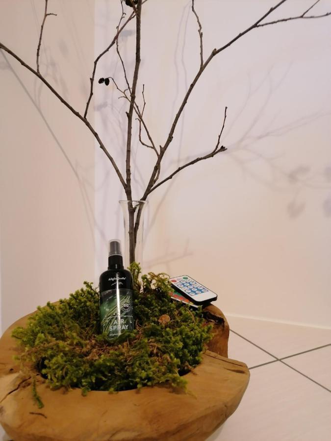 Appartements Bergliebe 比荷巴赫 外观 照片